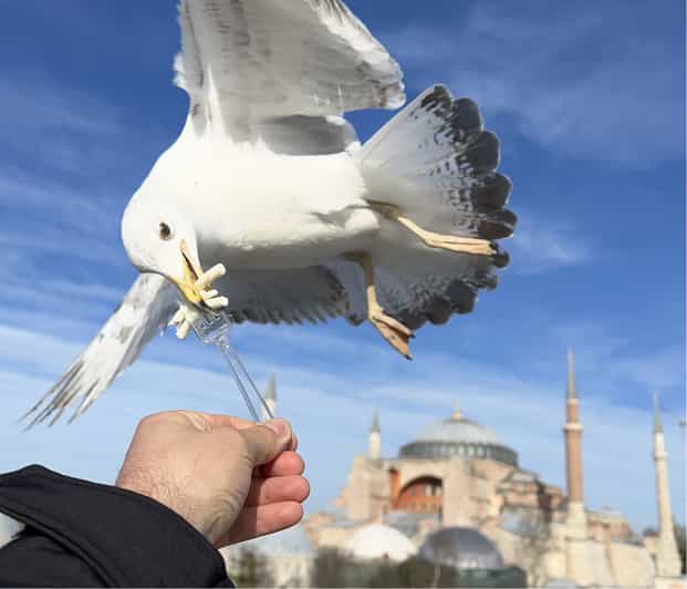 Private Guided Istanbul Luxury Tour (Tickets and Transfers) - Basilica Cistern: film fame plus 6th-century stonework
