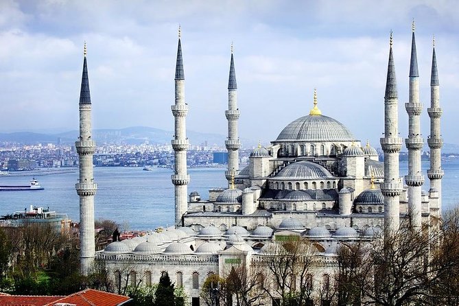 Private Half Day Shore Excursion: Hagia Sophia, Hippodrome, Blue Mosque and Grand Bazaar From Istanbul - Grand Bazaar: shopping without losing your day