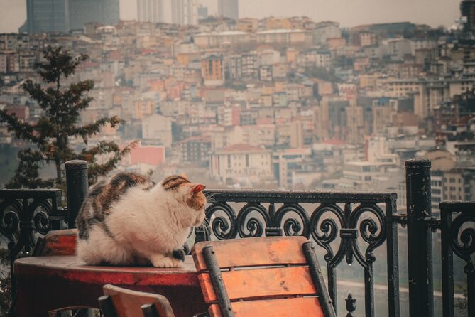 Private Istanbul Highlights Tour: 1, 2, or 3-Day Options - Meeting point and pickup: German Fountain makes life easier