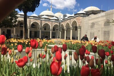 Private Istanbul Old City Walking Tour - Hagia Sophia: what to look for during the 45-minute stop