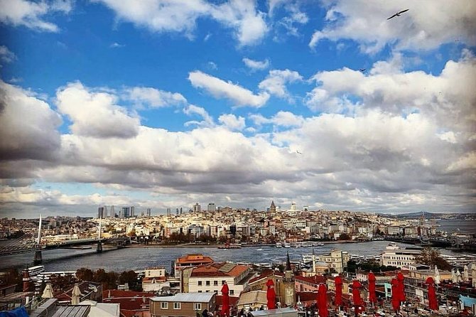 Prıvate Istanbul Tour by Luxury Minivan and Licensed Guide - Kız Kulesi and tea by the Bosphorus: a calmer pause