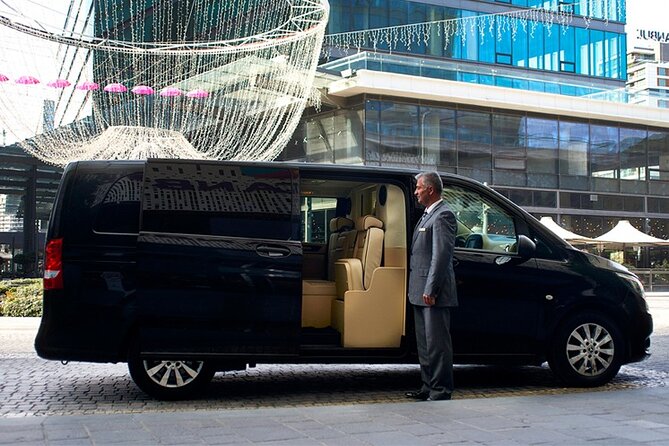 Private Transfer from Istanbul Hotels to Istanbul Airport (IST) - Drop-off at Istanbul Airport (IST): Where You’ll Land and Next Steps