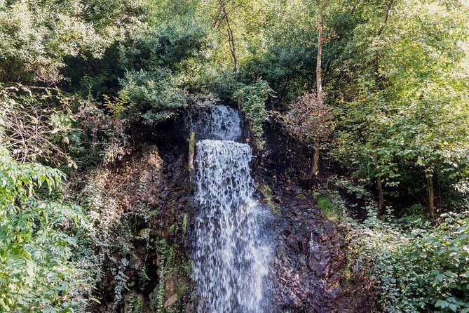 Sapanca And Masukiye Tour With Lunch - Full Day - Price and Value: How $80.14 Makes Sense on This Route