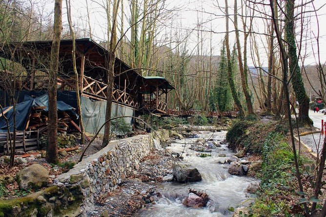 Sapanca And Masukiye Tour With Lunch - Full Day - Mobile Ticket, Small Group Timing, and What to Pack