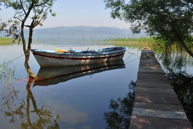 Sapanca And Masukiye Tour With Lunch - Full Day - Darica Zoo: A Short Safari With Lots of Species