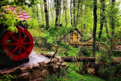 Sapanca Full Day Tour with Lunch - Faruk Yalçın Zoo (Darȩca Zoo): quick sights, extra cost for admission