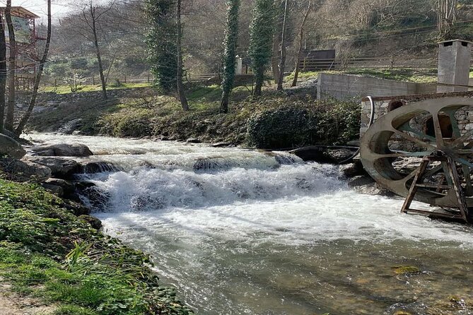 Sapanca Full Day Tour with Lunch - Mahmudiye by the falls: where the day turns scenic