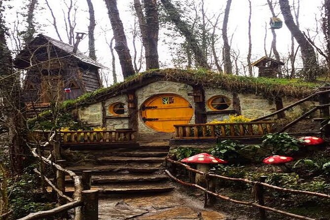 Sapanca Full Day Tour with Lunch - Price and value: why this works for some travelers