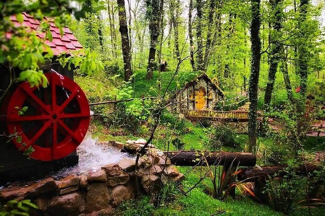 Sapanca Full Day Tour with Lunch - Faruk Yalçın Zoo (Darȩca Zoo): quick sights, extra cost for admission