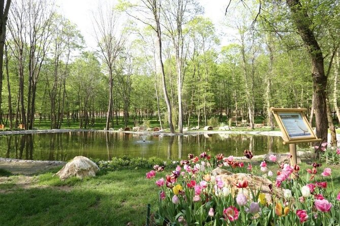 Sapanca Lake and Masukiye Tour from Istanbul - Masukiye Selale Waterfalls: Lunch, Shallow Water, and Foot-Soaking Fun