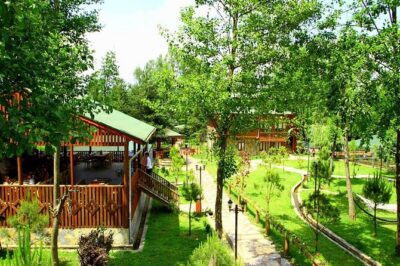 Sapanca Lake & Masukiye Tour From Istanbul - Aqua Marine or Lion Park: One Hour to Choose Your Own Adventure
