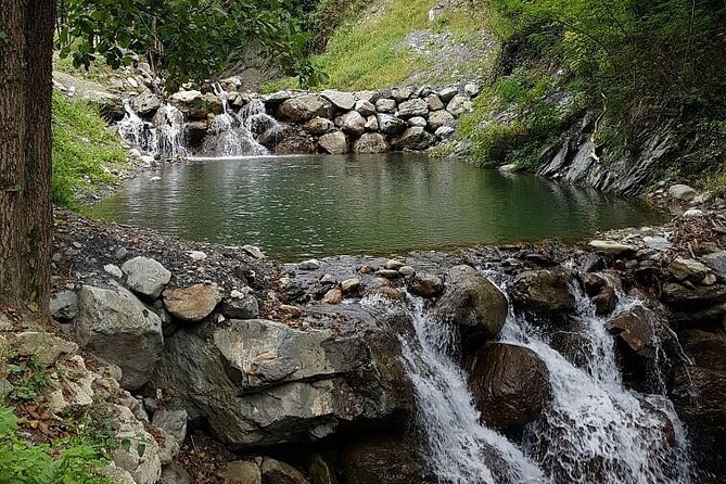 Sapanca Lake Tour with Lunch From Istanbul - Practical tips to make the day smoother