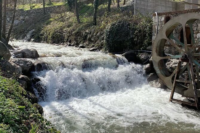 Sapanca Lake Tour with Lunch From Istanbul - Should you book this Sapanca Lake tour from Istanbul?