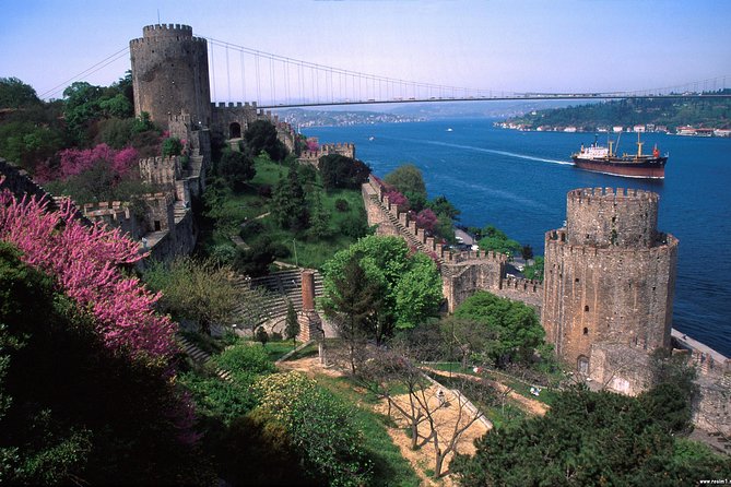 Skip-The-Line:1, 2 or 3 Days Private Istanbul Guided Tour - Blue Mosque timing: the “tiles and light” stop with real schedule risk