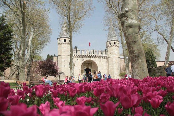 Small Group Full-Day Istanbul Old City Tour with Lunch & Tickets - Blue Mosque visit rules: entry timing, prayer limits, and what to expect on Fridays