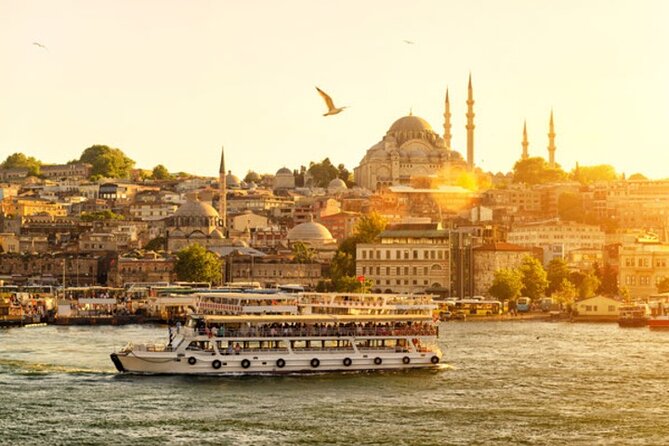 Top Sights of Istanbul: 1, 2 or 3 Day Private Guided Tour - Blue Mosque + Hagia Sophia: Two Icons With One Timing Rule
