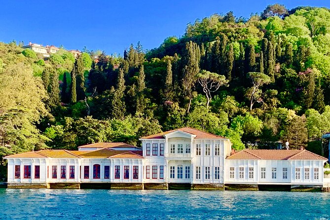Two (2) Days Istanbul Old City and Two Continents Walking Tour - Price and Value: What $450 Buys You in Real Time