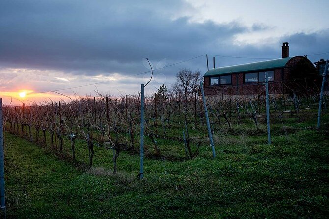 VIP Full Day Wineries Tour from Istanbul - Buying bottles to bring home: do it smart